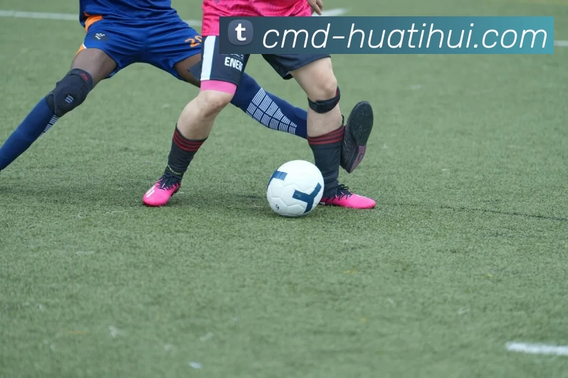 华体会平台生态图